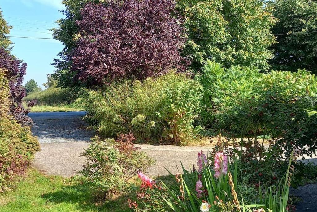 Millfields Cottage And Garden Goxhill  Exterior photo